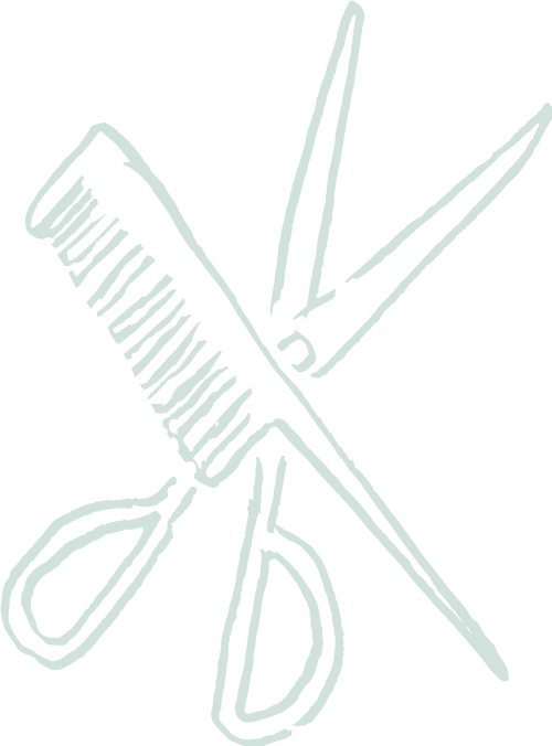 ハサミイメージ